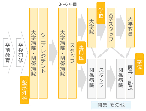 現在の東京大学整形外科医局員のキャリアパス